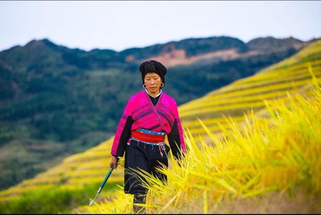 Rice View Villa Longsheng Luaran gambar