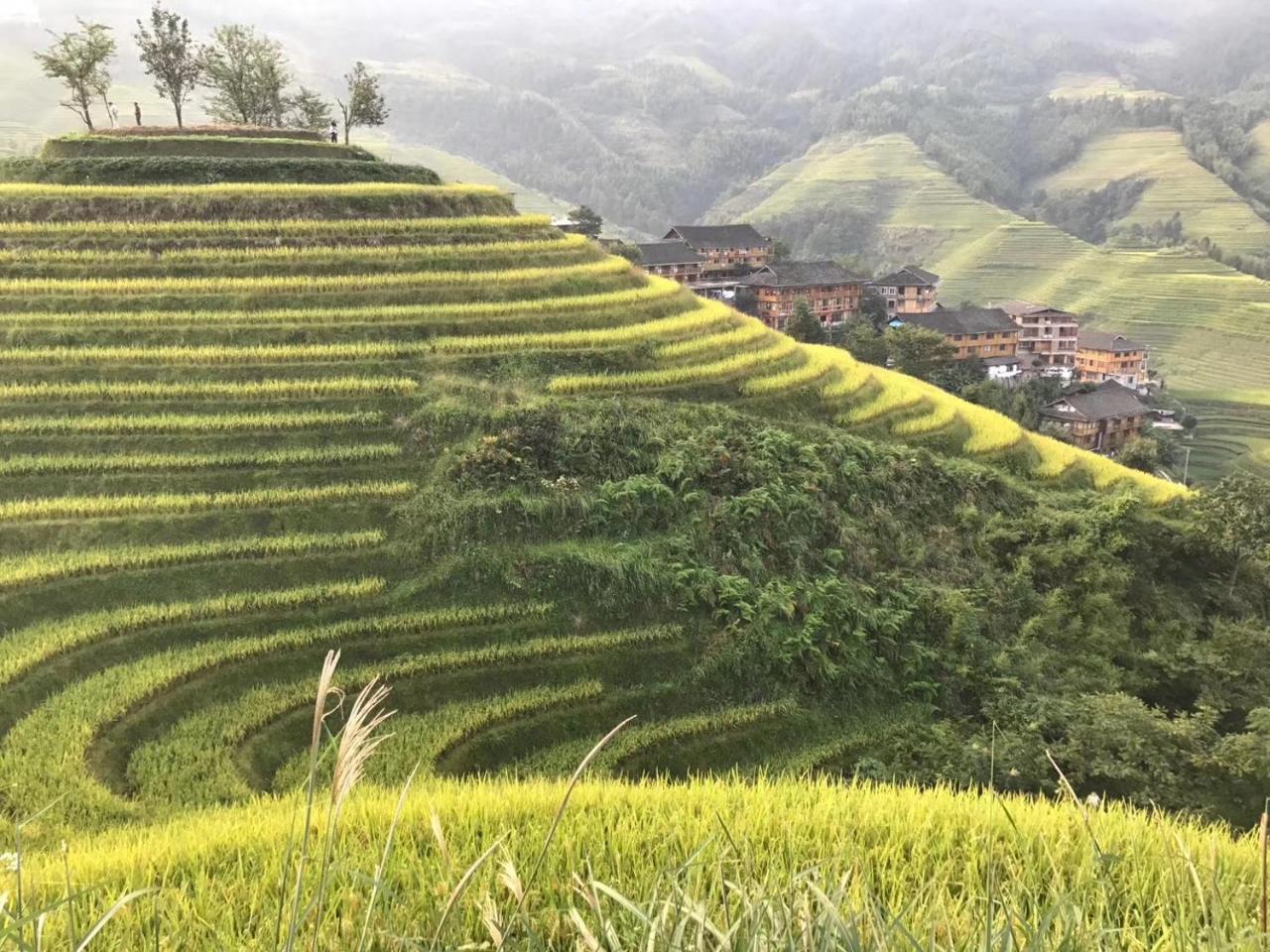 Rice View Villa Longsheng Luaran gambar